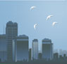 bannerdesigner